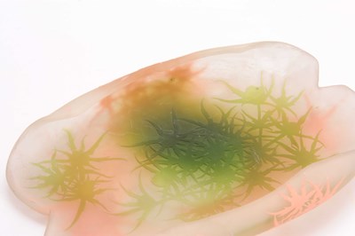 Lot 11 - AN UNUSUAL ART NOUVEAU EMILE GALLE GLASS BOWL...