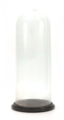 Lot 513 - A 19TH CENTURY CYLINDRICAL GLASS DOME mounted...