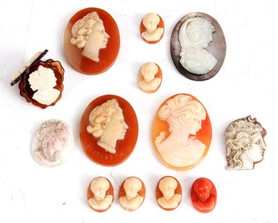 Lot 228 - A COLLECTION OF CAMEO FEMALE BUST PORTRAITS...