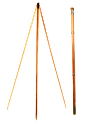Lot 451 - A RARE 19TH CENTURY GENTLEMANS WALKING...