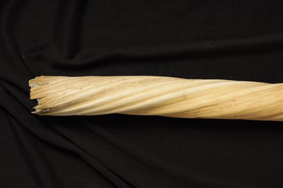Lot 736 - A LARGE 19TH CENTURY NARWHAL TUSK mounted on a...