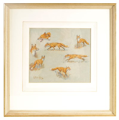 Lot 799 - AN EARLY 2OTH CENTURY WATERCOLOUR STUDY OF...
