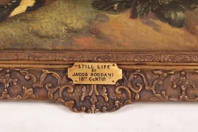 Lot 735 - AN 18TH CENTURY STILL LIFE OIL ON CANVAS ATTRIBUTED TO JAKOB BOGDANI