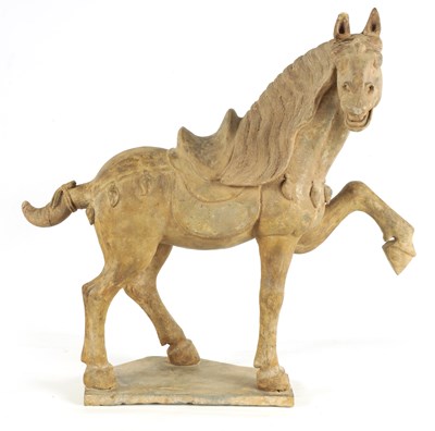Lot 166 - A CHINESE EARTHENWARE MODEL OF A TANG HORSE