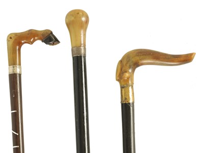 Lot 494 - THREE LATE 19TH CENTURY HORN HANDLED WALKING STICKS