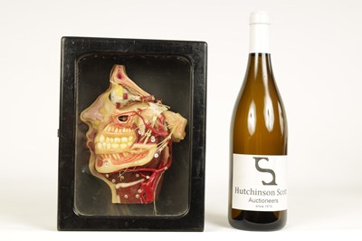 Lot 606 - A LATE 19TH CENTURY GERMAN ANATOMICAL WAX MODEL OF A HEAD