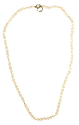 Lot 233 - A PEARL NECKLACE  WITH  14CT WHITE GOLD CLASP