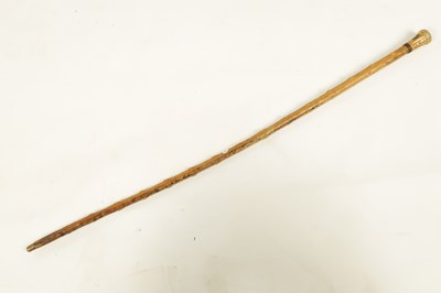 Lot 372 - A 19TH CENTURY RHINOCEROS HORN WALKING STICK