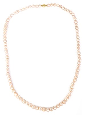 Lot 236 - A LARGE STRING OF PINK FRESH WATER PEARLS