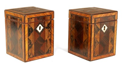 Lot 486 - A PAIR OF LATE GEORGE III SPECIMEN WOOD TEA CADDIES