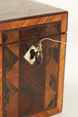 Lot 486 - A PAIR OF LATE GEORGE III SPECIMEN WOOD TEA CADDIES