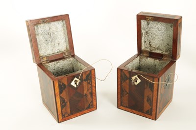 Lot 486 - A PAIR OF LATE GEORGE III SPECIMEN WOOD TEA CADDIES