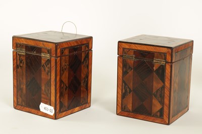 Lot 486 - A PAIR OF LATE GEORGE III SPECIMEN WOOD TEA CADDIES