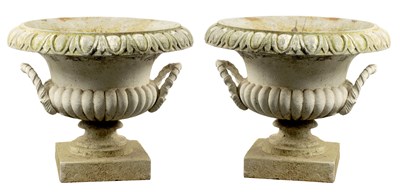 Lot 1314 - A GOOD PAIR OF 19TH CENTURY CAST IRON TWO-HANDLED GARDEN URNS