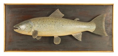 Lot 479 - A 19TH CENTURY STYLE CARVED HANGING MODEL OF A SALMON