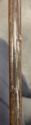 Lot 449 - AN EARLY 20TH CENTURY RHINOCEROS HORN SWAGGER STICK
