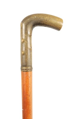 Lot 455 - A LATE 19TH CENTURY RHINOCEROS HORN HANDLED WALKING STICK