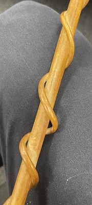 Lot 671 - AN EARLY 20TH CENTURY CONTINENTAL SILVER MOUNTED RHINOCEROS HORN STICK MODELLED AS A RIDING WHIP