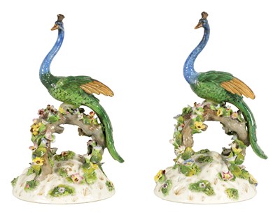Lot 79 - A PAIR OF 19TH CENTURY DRESDEN PORCELAIN PEACOCK FIGURES