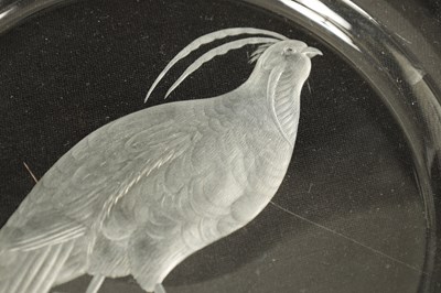 Lot 13 - A SET OF 12 20TH CENTURY STEUBEN GLASS WORKS ORNITHOLOGICAL GLASS PLATES