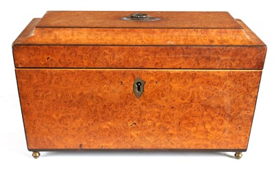Lot 1159 - A REGENCY AMBOYNA AND EBONY STRUNG SARCOPHAGUS.TEA CADDY