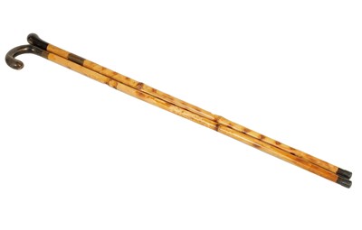 Lot 476 - TWO 19TH CENTURY SWORD STICKS WITH HORN HANDLES