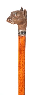 Lot 478 - A FRENCH 19TH CENTURY CARVED BOXWOOD AND SILVER MOUNTED BULL DOG  WALKING STICK