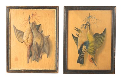 Lot 844 - SAMUEL DIXON - IRISH A PAIR OF 18TH CENTURY GOUACHE AND PRESSED PAPER BIRD PAINTINGS