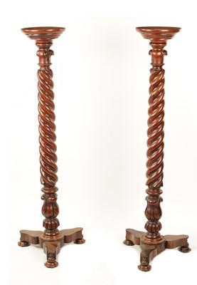 Lot 1171 - A PAIR OF WILLIAM IV MAHOGANY AND ROSEWOOD VENEERED TORCHERES