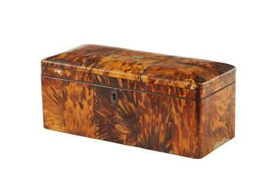 Lot 1137 - A 19TH CENTURY BLONDE TORTOISESHELL VENEERED TEA CADDY