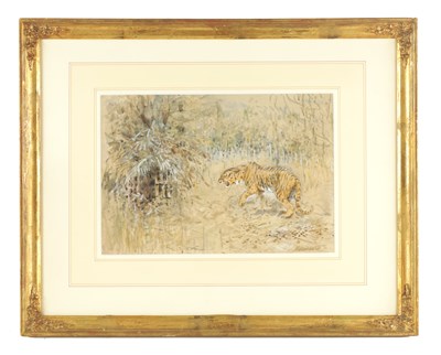 Lot 783 - WILLIAM WOODHOUSE (1857 - 1939) A WATERCOLOUR DEPICTING A TIGER IN A GRASSY LANDSCAPE signed, mounted in a glazed gilt frame.