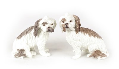 Lot 41 - A PAIR OF 20TH CENTURY MEISSEN PORCELAIN TERRIERS