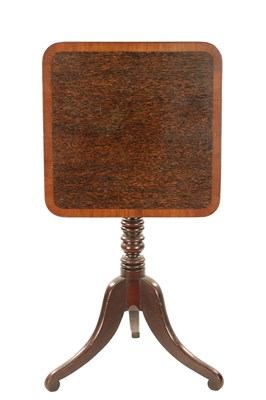 Lot 58 - A REGENCY TRIPOD TABLE WITH PALM WOOD TOP AND MAHOGANY BASE