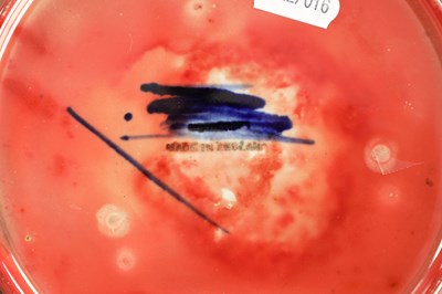 Lot 88 - A LARGE 1930'S MOORCEOFT FLAMBE PLATE