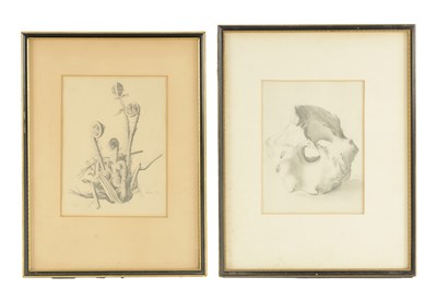 Lot 892 - MARION ADNAMS (1898-1995). TWO MID 20TH CENTURY PENCIL DRAWINGS