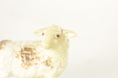 Lot 30 - A MID 18TH CENTURY MEISSEN STANDING FIGURE OF A SHEEP