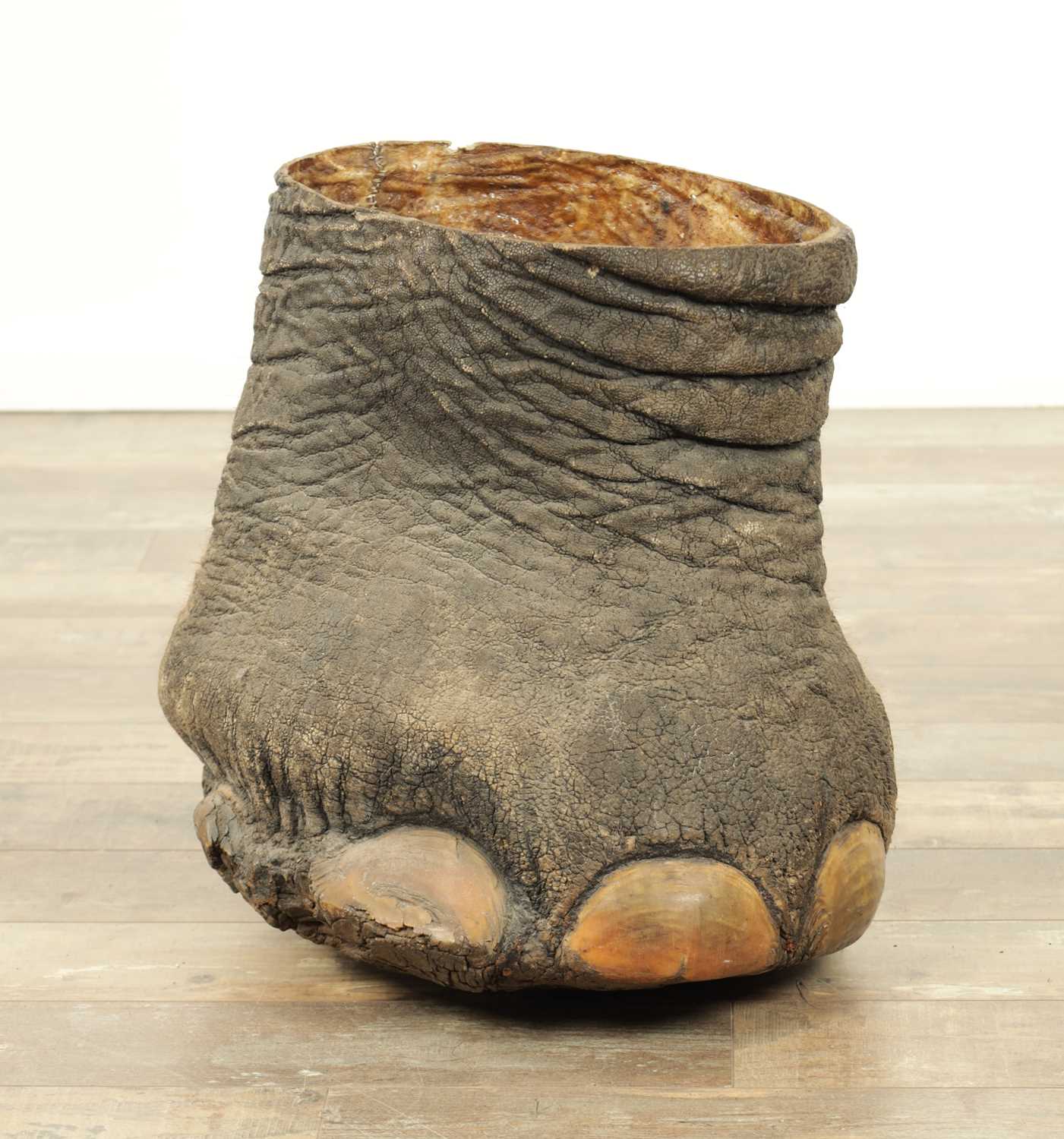Lot 801 - A LARGE LATE 19TH CENTURY TAXIDERMY ELEPHANT FOOTSTOOL