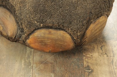 Lot 801 - A LARGE LATE 19TH CENTURY TAXIDERMY ELEPHANT FOOTSTOOL