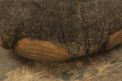 Lot 801 - A LARGE LATE 19TH CENTURY TAXIDERMY ELEPHANT FOOTSTOOL