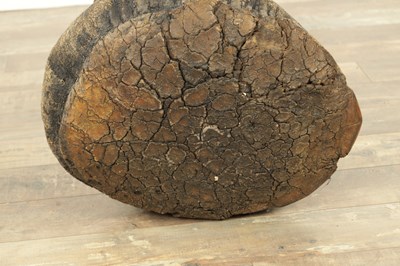 Lot 801 - A LARGE LATE 19TH CENTURY TAXIDERMY ELEPHANT FOOTSTOOL