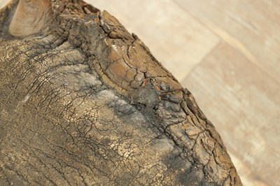 Lot 801 - A LARGE LATE 19TH CENTURY TAXIDERMY ELEPHANT FOOTSTOOL