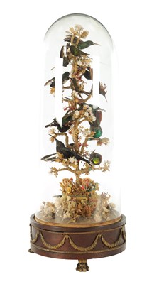 Lot 1098 - A LATE 19TH CENTURY FRENCH ROTATING TAXIDERMY BIRD CLOCK