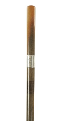 Lot 488 - A LATE 19TH CENTURY TAPERING HORN WALKING CANE OF SECTIONAL FORM