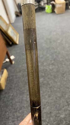Lot 488 - A LATE 19TH CENTURY TAPERING HORN WALKING CANE OF SECTIONAL FORM