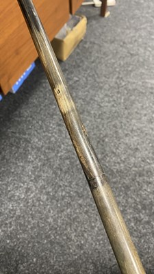 Lot 488 - A LATE 19TH CENTURY TAPERING HORN WALKING CANE OF SECTIONAL FORM