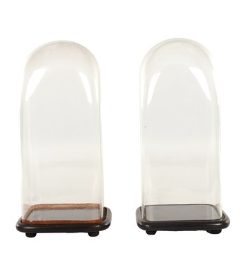 Lot 819 - A PAIR OF LATE 19TH CENTURY GLASS DOMES ON EBONISED WOODEN BASES
