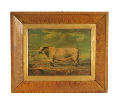 Lot 1025 - A 19TH CENTURY NAIVE SCHOOL OIL ON CANVAS OF A BULL