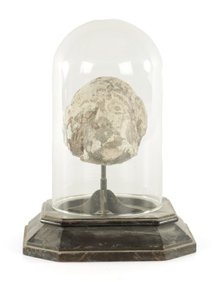 Lot 341 - AN EARLY CARVED STONE HEAD UNDER GLASS DOME