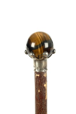 Lot 77 - A 19TH CENTURY EYE OF THE TIGER HANDLED WALKING CANE