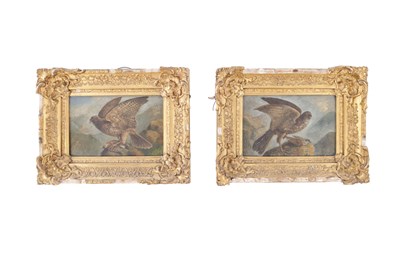 Lot 862 - A PAIR OF 19TH CENTURY OIL ON BOARDS DEPICTING MERLIN BIRDS WITH THEIR PREY